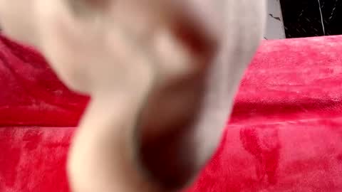 moolly_evanz online show from 02-04-26, 02:34