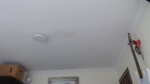 Abelardo online show from 01-12-26, 03:28