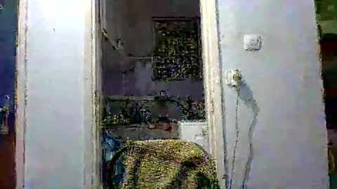 mppempis81 online show from 12-02-25, 07:31