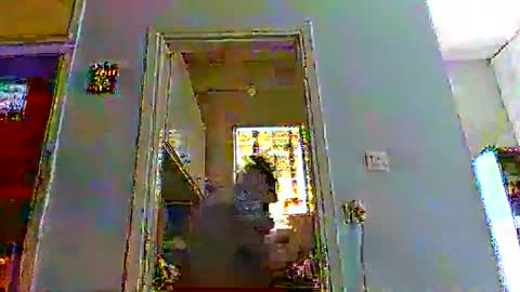 mppempis81 online show from 12-14-25, 09:03