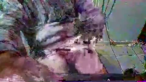 mppempis81 online show from 01-31-26, 07:11