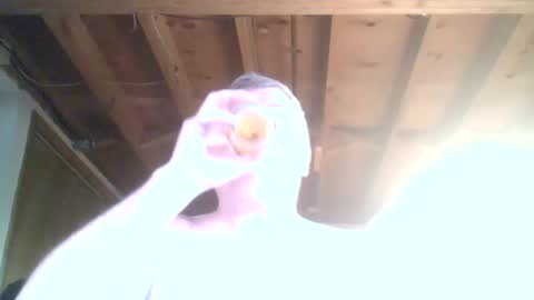 mrblade666 online show from 01-12-25, 08:47