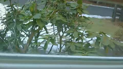 mrbrigggs online show from 01-14-26, 12:11