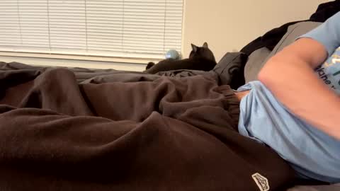 Snapshot of mrfox1q chatting on 01-20-25, 08:19 thickdickpnw online show from 01-20-25, 08:19