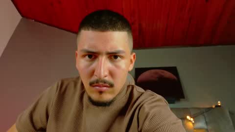 Snapshot of mrfox__ chatting on 02-17-26, 08:04 Mr Fox online show from 02-17-26, 08:04