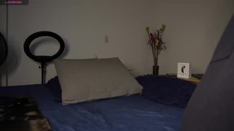 Luis    Instagram   online show from 02-23-25, 07:28