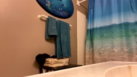 Snapshot of mrmeltyourheart chatting on 02-03-26, 01:59 James online show from 02-03-26, 01:59