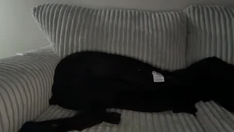 Mr Ryan Voss online show from 12-30-24, 10:01