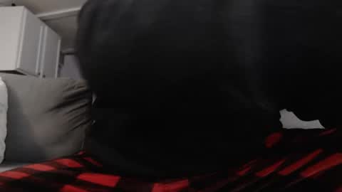 mrshlongboy21 online show from 01-25-25, 02:47