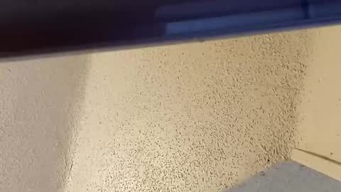 Snapshot of msalls1124 chatting on 03-02-26, 07:32 melissa online show from 03-02-26, 07:32