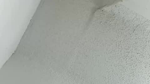 Snapshot of msalls1124 chatting on 03-11-26, 12:16 melissa online show from 03-11-26, 12:16