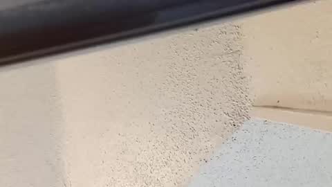 Snapshot of msalls1124 chatting on 03-14-26, 08:58 melissa online show from 03-14-26, 08:58