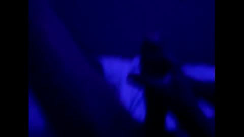 mt220 online show from 12-16-24, 09:57