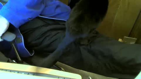 muller520 online show from 02-23-25, 03:18