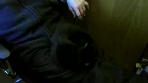 muller520 online show from 03-02-26, 03:52