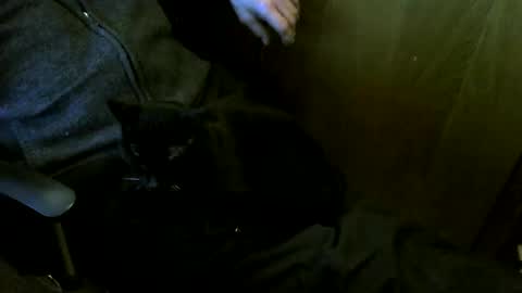 muller520 online show from 03-12-26, 04:02