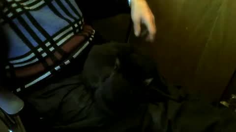 muller520 online show from 03-24-26, 04:34