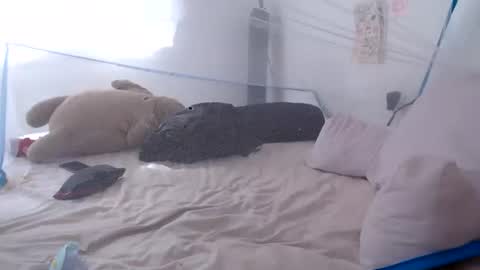   online show from 06-28-26, 02:23