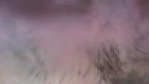 musclehair3 online show from 07-13-26, 08:11