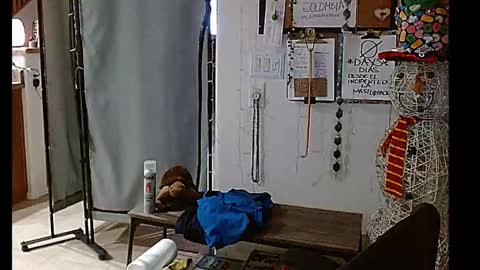 LA MARIPOSA DE MARICOPA online show from 12-25-24, 10:50