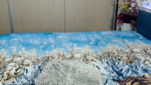 Snapshot of myrabelle24 chatting on 03-05-25, 10:44 Myrabelle24 online show from 03-05-25, 10:44