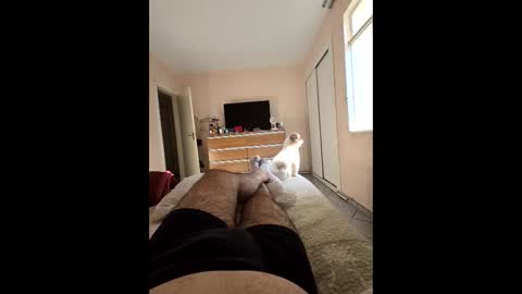 mysterbearmg online show from 09-27-25, 06:46