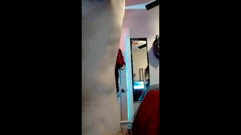 Snapshot of nachito650 chatting on 12-19-25, 12:50 cheesechip online show from 12-19-25, 12:50