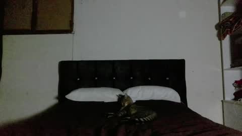 Snapshot of nahomy_oxox chatting on 04-01-26, 02:23 Nahomy online show from 04-01-26, 02:23