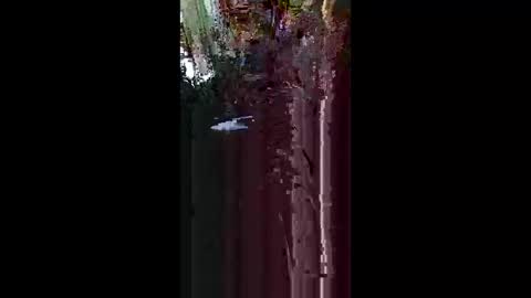 nakedbear108 online show from 05-17-26, 07:50