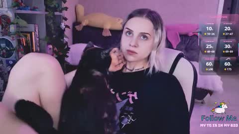 Monday-Friday 12-4 AM and 6-9 AM New York time online show from 03-13-26, 08:26