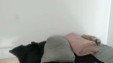 Snapshot of naomimoore chatting on 01-17-26, 06:11 Naomi Moore online show from 01-17-26, 06:11