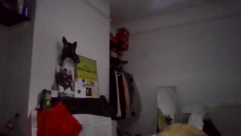 NarcoMarco online show from 11-11-25, 01:49