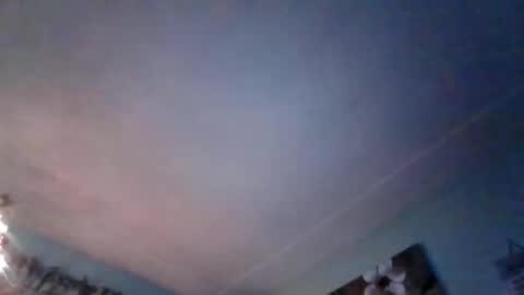 Snapshot of nataliedays chatting on 12-21-24, 04:30 Natalie  online show from 12-21-24, 04:30