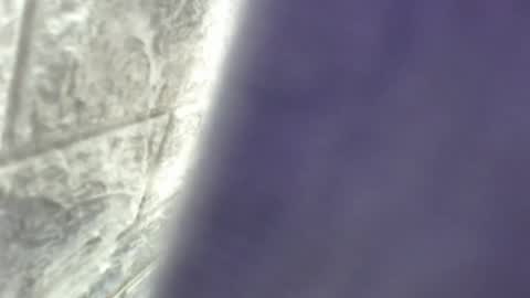 Snapshot of natalieevansx chatting on 11-16-25, 03:39 natalieevansx online show from 11-16-25, 03:39