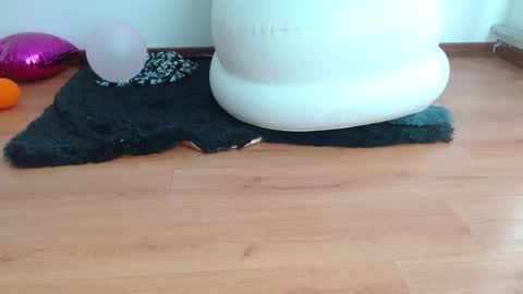 nath_dawson online show from 02-16-25, 02:00