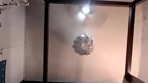 Haven online show from 03-26-26, 04:56