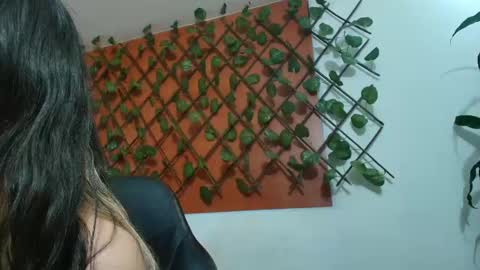 Kitten online show from 04-15-26, 11:28