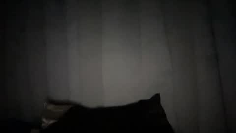 Snapshot of naughtyrosecum chatting on 01-06-25, 10:24 Rose Wilson online show from 01-06-25, 10:24