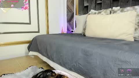    online show from 06-22-26, 11:29