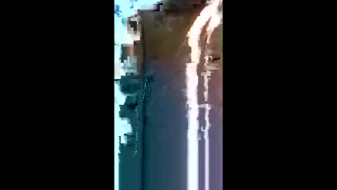 neamtu online show from 05-24-26, 12:21