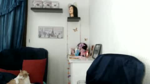 Star  online show from 02-27-25, 12:10