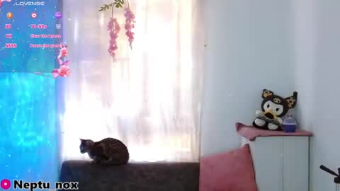 Snapshot of neptu_noxx chatting on 01-31-25, 09:48 Neptu noxx online show from 01-31-25, 09:48