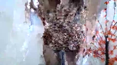 Crystal New online show from 01-15-26, 07:46