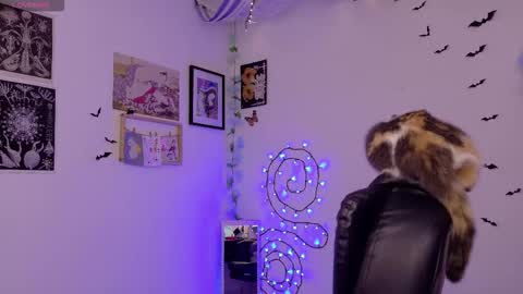 Mar online show from 02-03-26, 05:38