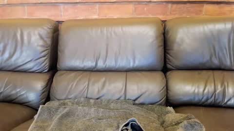 Matilda online show from 12-04-25, 11:52