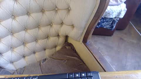 Lilly  online show from 02-23-25, 11:11