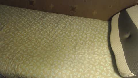 Lilly  online show from 10-20-25, 03:40