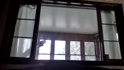 Newguy81240 online show from 01-23-25, 03:54