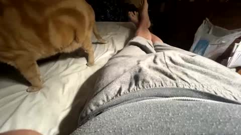 Snapshot of ngianop chatting on 04-12-26, 09:25 ngianop online show from 04-12-26, 09:25