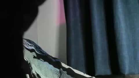 Snapshot of nicebbc7 chatting on 12-22-24, 05:56 Black Tarzan online show from 12-22-24, 05:56